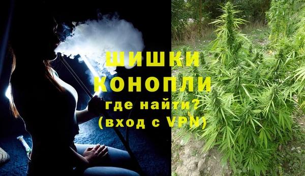 винт Дмитриев