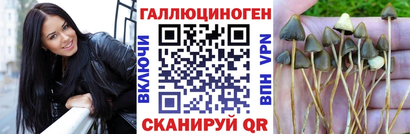 Псилоцибиновые грибы мицелий  Малая Вишера 